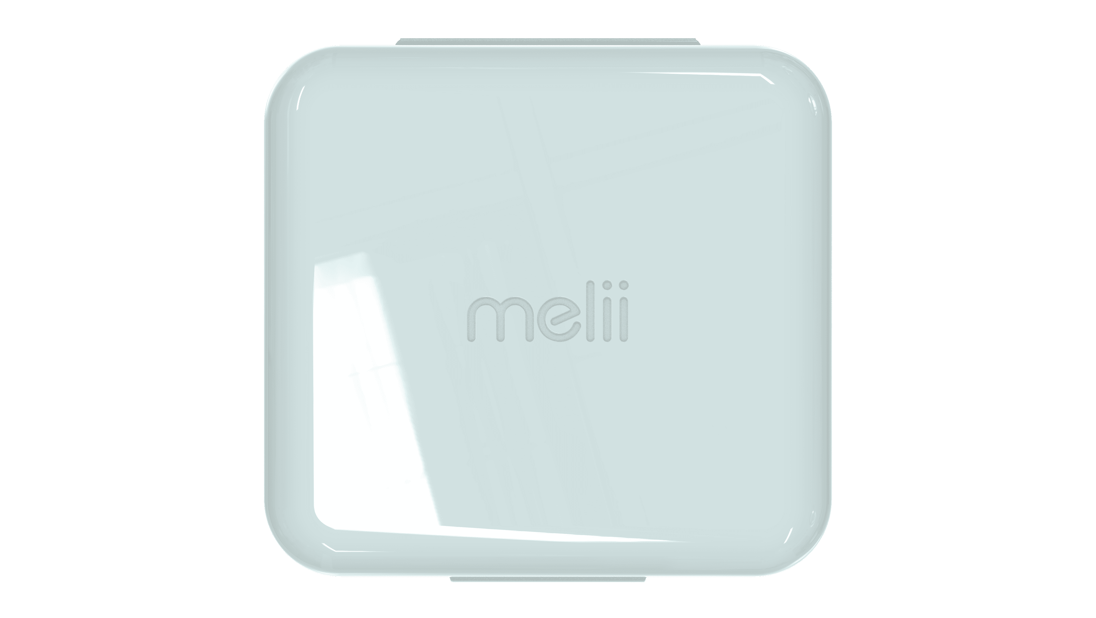 Sandwich Container Light Blue