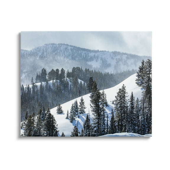 Stupell Industries Quiet Snowy Mountain Slopes Scattered Fir Trees Photograph Gallery Wrapped Canvas Print Wall Art, Design by Steve Smith