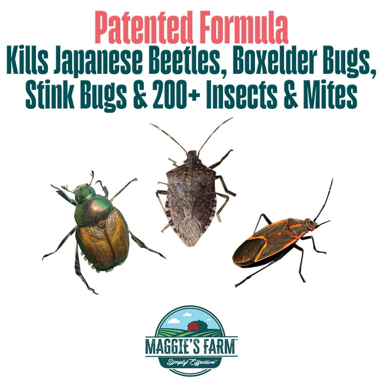 Maggie's Farm Beetle & Boxelder Bug Killer Spray Insecticide