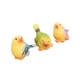 thumbnail image 5 of 3 piezas Figuras decorativas de aves en miniatura Mini Figuras de pájaros Flower Ornaments para estante Photo Prop Home Hogar, 5 of 9