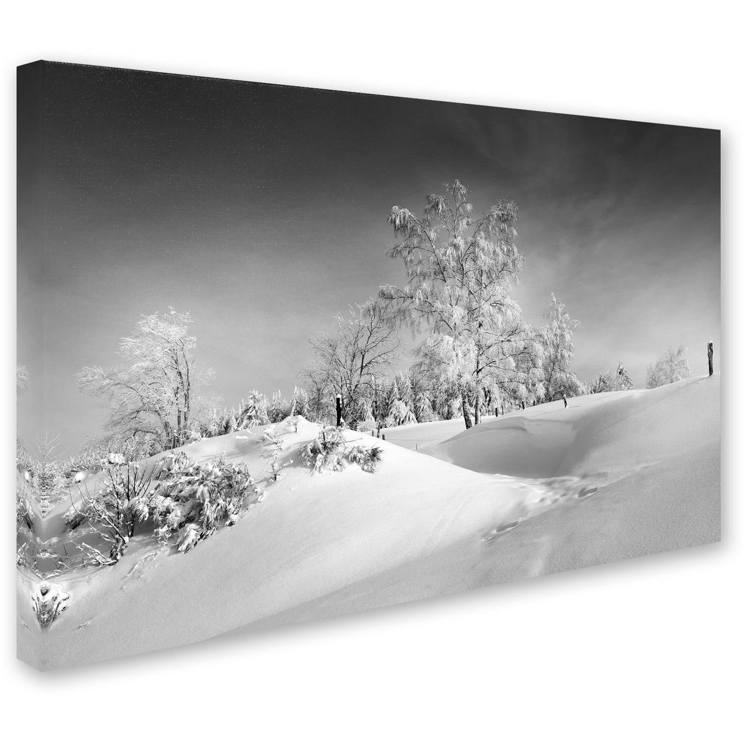 Trademark Fine Art "Dressed For Winter B&W" Canvas Art by Philippe Sainte-Laudy