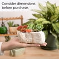 thumbnail image 4 of T4U 5.5 Inch Ceramic Succulent Pot Planter with Drainage Hole Set of 3, Stone Shape Rectangle Window Box Cactus Plant Containers Gift for Mom Sister Aunt Best for Home Office Table Desk Decoration, 4 of 4