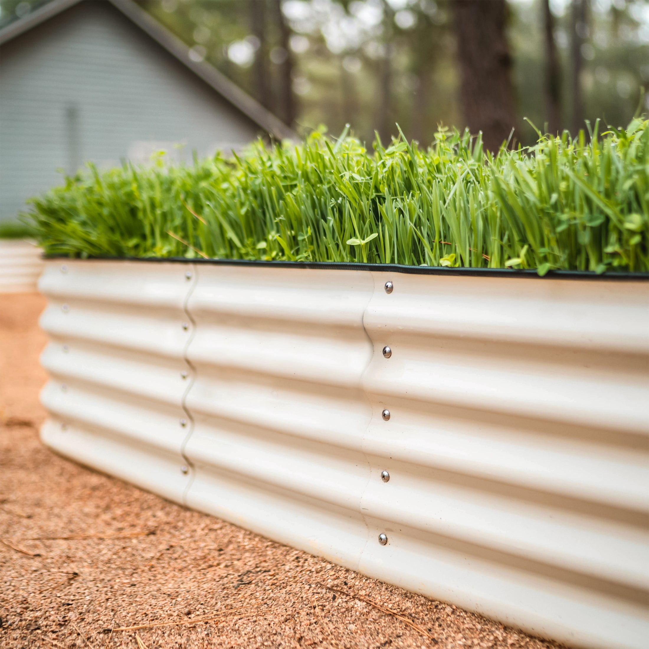 Choosing the Right Raised Bed for a Cramped Yard