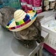thumbnail image 1 of Flmtop Fashion Pet Sun Cap Handcrafted Woven Hawaii Style Adjustable Dog Cat Straw Hat, 1 of 9