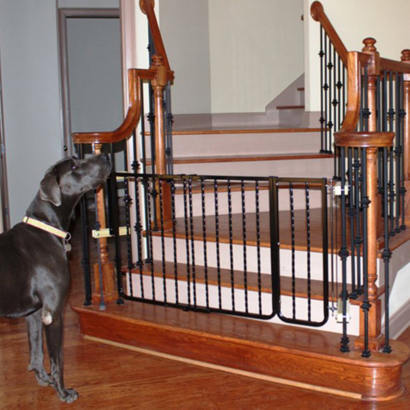 Wrought iron pet gate for stairs 2025