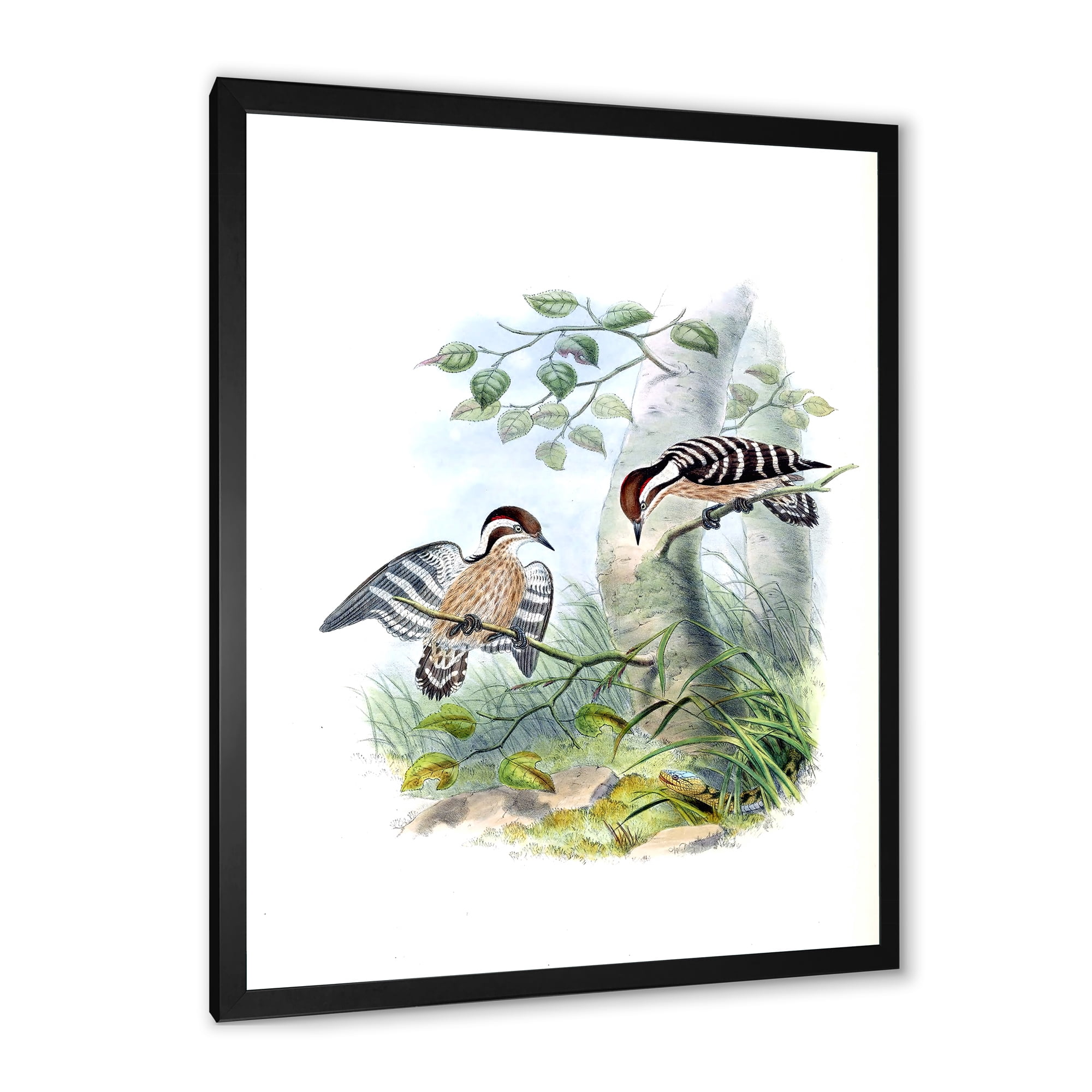 Designart 'Ancient Birds In The Wild I' Traditional Framed Art Print