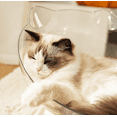 thumbnail image 2 of FINE MAKER Space Capsule Cat Bed - with trackball, all-season acrylic space capsule cat bed, transparent indoor pet house suitable for small pets, 2 of 5