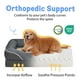 thumbnail image 2 of Cama Grande Ortopédica Lavable Para Perros – Camas Ortopédicas Extraíbles De Espuma Para Perros Con Refuerzos Cama Grande Impermeable Para Perros Y Fondo Antideslizante Camas Extragrandes Para Perros, 2 of 8