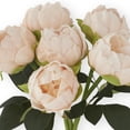 thumbnail image 4 of K&K Interiors 12" Real Touch Light Peach Peony Blooming Spring Flowers for Mother's Day - 6 Stem Bundles, 4 of 6