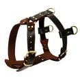 thumbnail image 1 of Harnais pour Chien en Cuir Véritable - Poitrine Ajustable pour Chiens TG - Brun, 1 of 1