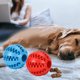 thumbnail image 4 of Pelota de juguetes para la dentición de perros, rompecabezas IQ para perros, juguetes para masticar para cachorros, limpieza de dientes de perros pequeños y grandes, 4 of 5