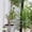 green, 31.5'', variant on 6 Pcs Plant Support Stakes, Plant Sticks Support for Plants Peony, Tomato Seedling, Marigold and More, Lodging Prevention
