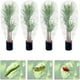 thumbnail image 3 of Naiovety Bolsa de red, Protector de plantas, herramienta de jardinería, multiusos, Control de plagas de frutas, accesorios de jardín Type6 NO6, 3 of 6