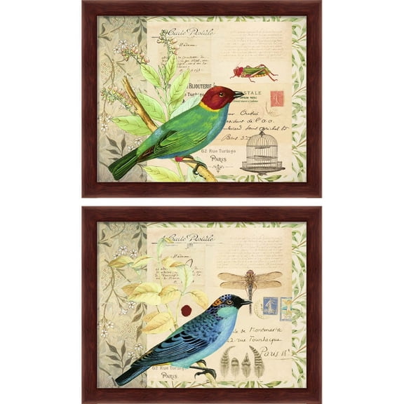 Great Art Now Post Card Birds by Cora Niele, 2 Piece Framed Art Set Each 11.25"W x 9.25"H