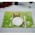 thumbnail image 1 of EREHome Animals Kitten Cat Placemat Table Mat 12x18 inches,Set of 2, 1 of 1