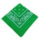 thumbnail image 1 of Soidarity Pañuelo de anacardo de poliéster Unisex, bufanda cuadrada, diadema con estampado de Cachemira, muñequeras, pañuelo para la cabeza, Ciclismo Verde, 1 of 5
