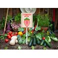 thumbnail image 5 of Eveokoki Fruit Signs For Garden With Stake Strawberry Yard Sign Vegetable Garden Label Stakes Plant Markers For Outdoor Plants Waterproof 7x8.8inch Nursery Garden Fruit Outdoor Sign, 5 of 6