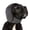 Dark Grey S, variant on Dark Grey S Small Size Deep Shade Pet Dog Ear Protection For Winter And Aquatic Fun