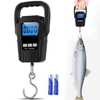 13 ft telescopic fishing rod 12,13,14 ft Telescopic Adriatic Travel Beachcaster Beach Fishing Rod Reel  Line