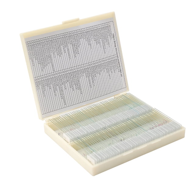 Biological 100PCS/Set Biological Glass Sample Prepared Basic Animal Plants Tissues Science Specimen Cover Slips Portable Educational Microscope Slides