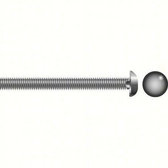 SeaChoice  00156; 1/2-13 X3 1/2 Carriage Bolt Stainless Steel 1/ Bag