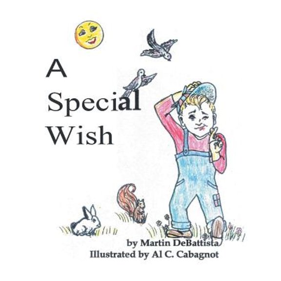 A Special Wish (Paperback)
