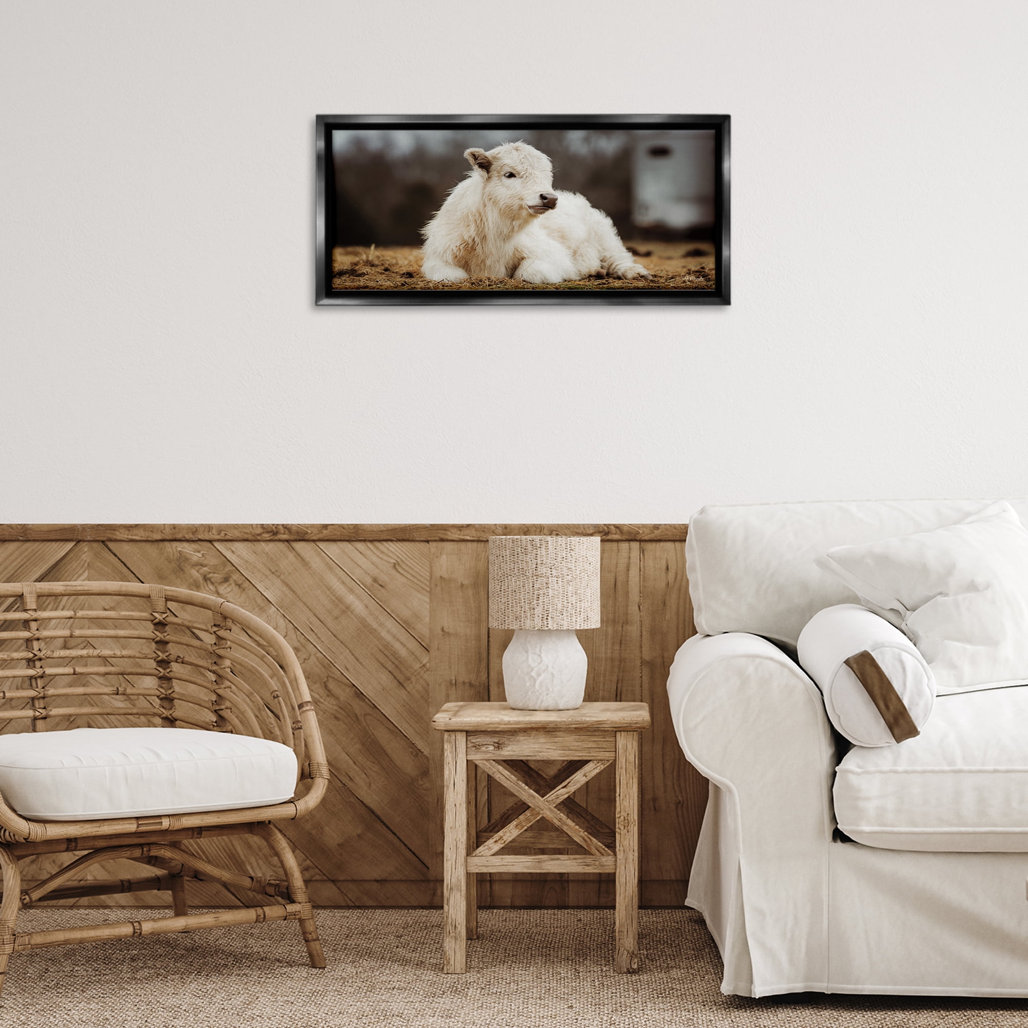 Stupell Industries Baby White Cattle Animals & Insects Photography Black Floater Framed Canvas Art Print Wall Art, 25 x 11