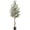 Green, variant on 6 ft Artificial Olive Tree Indoor, Tall Faux Olive Tree with Moss, Black Nursery Pot, Artificial Silk Plant, Designed Faux Wood Trunk and Realistic Fruit, Perfect for Home Office Decor Gift 2 Pack