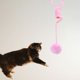 thumbnail image 4 of Juguete para gatos, Bouncy Dangler Juguetes para gatos Bola de felpa Cuerda elástica Teaser Varita Juguete para gatos de felpa Cuerda retráctil Rosado Colco gato jugar, 4 of 8