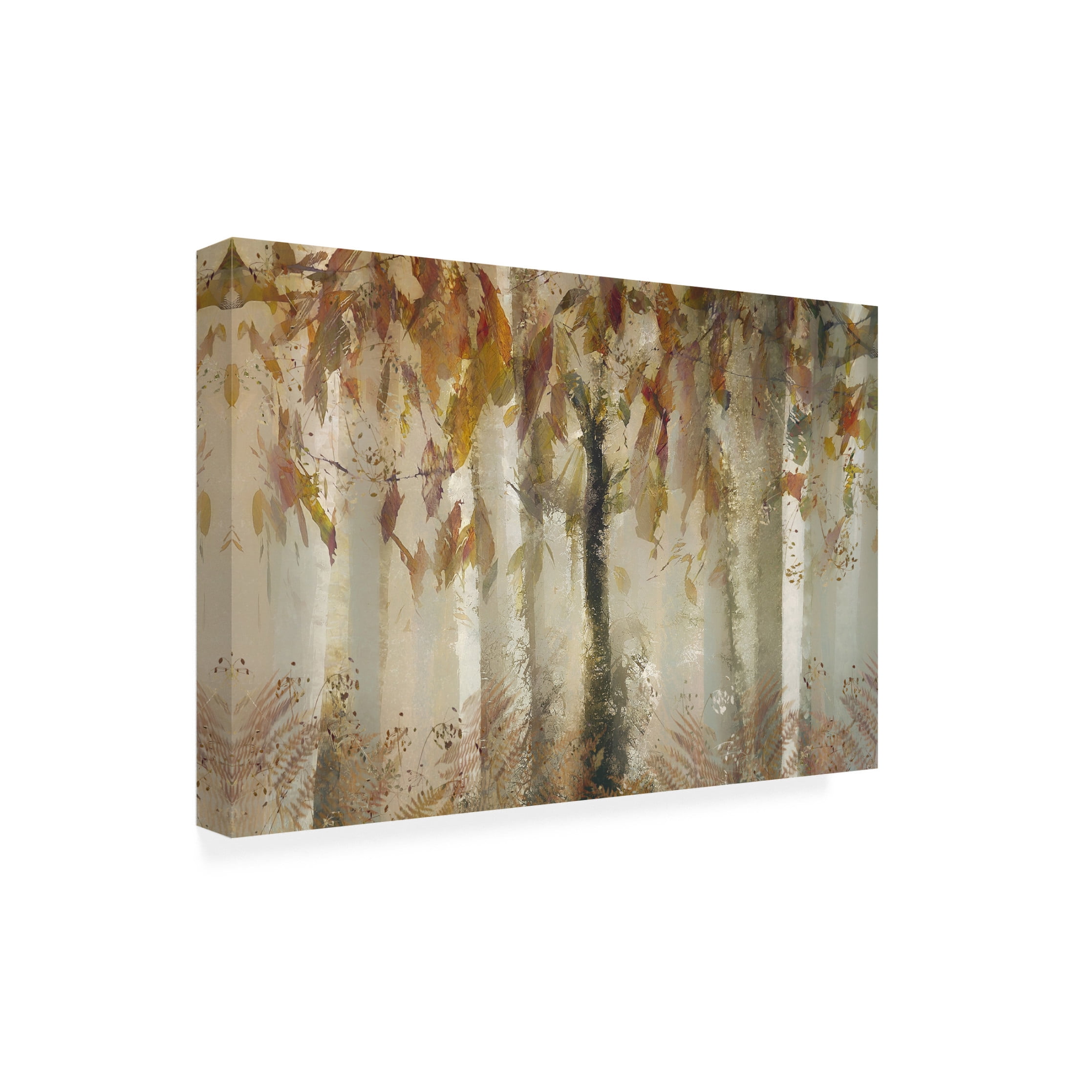 Trademark Fine Art Nel Talen Eye-catcher Canvas Wall Art