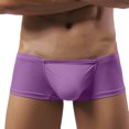 thumbnail image 5 of Sngxgn Men’s Boxer Briefs, Stretch Underwear Fit Low Rise(Purple,L), 5 of 5