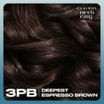 thumbnail image 2 of Clairol Nice'n Easy Pure Brunettes Permanent Hair Color Creme, 3PB Deepest Espresso Brown, Hair Dye, 1 Application, 2 of 14