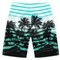 thumbnail image 4 of Birdeem Mens Summer Thin Fast-Drying Beach Trousers Casual Drawstring Sports Short Pants, 4 of 12