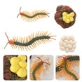 thumbnail image 2 of Shisuyan 1 Set Insect Model Toy Set Centipede Toy Set Life Cycle Demonstration Toy, 2 of 8