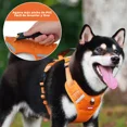 thumbnail image 3 of Pechera Arnés Reflectante Para Perros Con Correa Y Luces Led, 3 of 8