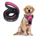 thumbnail image 1 of Pechera Arnes + Correa Perro E-pets Ajustable Raza Grande, 1 of 8