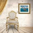 thumbnail image 3 of Fitzharris, Tim 14x12 Gold Ornate Wood Framed with Double Matting Museum Art Print Titled - Snapper and gulls-Coral Coast-Western Australia, 3 of 4