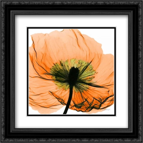 Poppy Orange 2x Matted 20x20 Black Ornate Framed Art Print by Koetsier, Albert