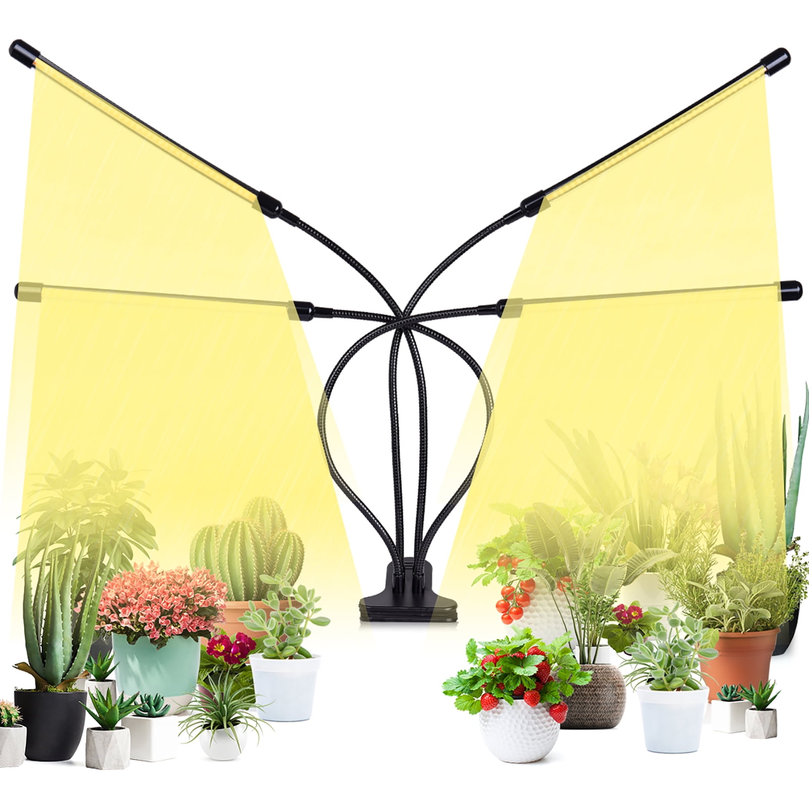 Led Grow Lights For Indoor Plants India - LIGHT IS FLOURISHING