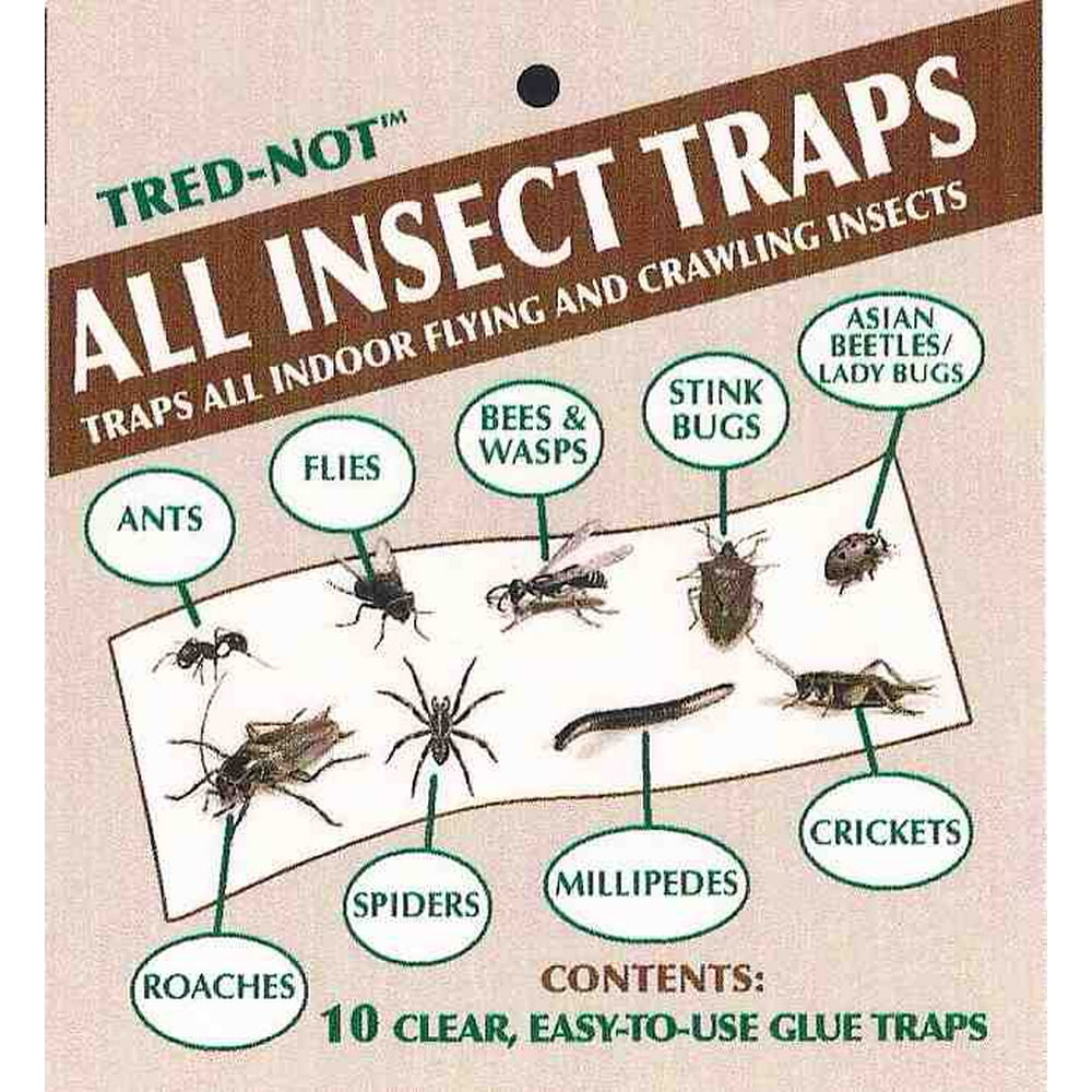 40 pk ALL Insect Traps / Strips / Glue Boards. Trap Flies, bees, wasps