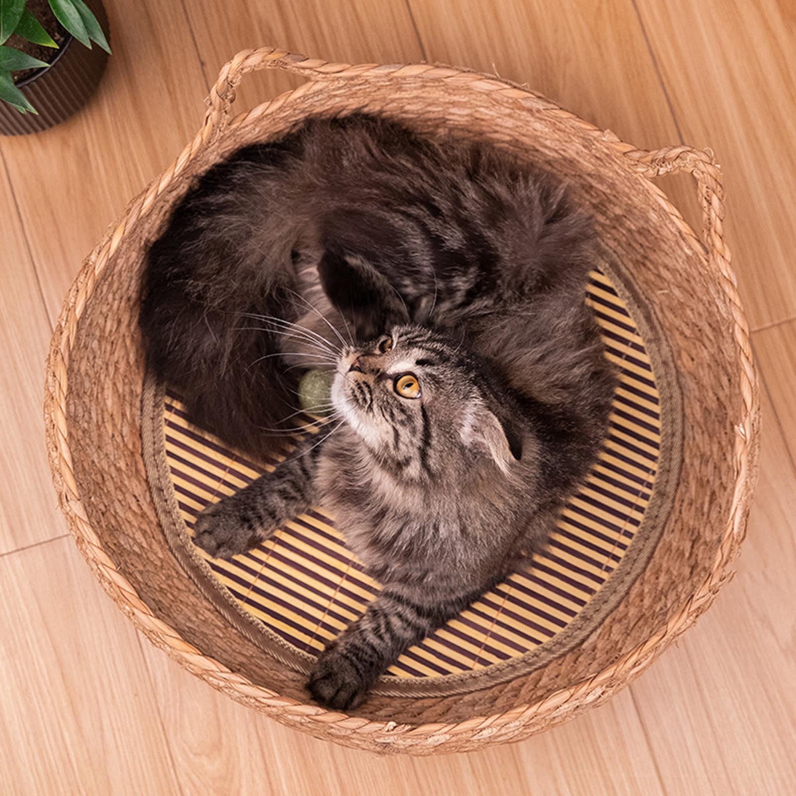 Woven Straw Cat Bed - 2025 New Natural Rattan Round Pet Basket, Cooling Cat House & Small Dog Bed, Furniture Protective Scratch Mat for Indoor Pets