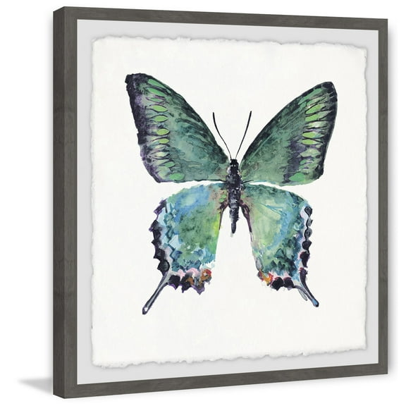 Marmont Hill Watercolor Butterfly Framed Wall Art