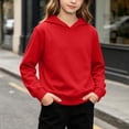 thumbnail image 5 of Liweisiy Boy's And Girl's Hooded Sweatshirts Long Sleeve Relaxed Fit Multi Color Tops Casual Bassic Shirts Red 1-2 Years, 5 of 10