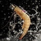 thumbnail image 5 of Juego de 10 Anzuelos para Camarones , Equipo de Pesca de Agua Dulce y Salada, Señuelos de Pesca, Ideal para Bagres, Meros, Lubinas y Truchas (N.° 3/0), 5 of 5