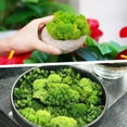 thumbnail image 4 of Artificial Green Plants Eternal Life Moss DIY Grass Garden Crafts Home Room Decor Mini Landscape Fake Grass 20/1000g, 4 of 9