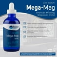 thumbnail image 3 of Trace Minerals Liquid Ionic Mega-Mag 2 Pack, 3 of 5