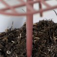 thumbnail image 4 of Support de Fraise Expédition Rapide Cadre Support de Balcon Support de Plantation de Fruits, 4 of 5