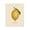 Vintage Lemon Portrait, variant on Stupell Industries Cottage Orange Fruit Portrait Canvas Art, 16 x 20, by Danielle Murray