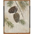 thumbnail image 2 of Fisk, Arnie 26x32 Black Ornate Wood Framed with Double Matting Museum Art Print Titled - Rustic Pine Cones, 2 of 4