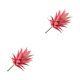 thumbnail image 3 of Suculentas artificiales Wosthever MM907 Flocado Rojo 2piezas, 3 of 6